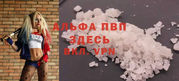 ECSTASY Галич