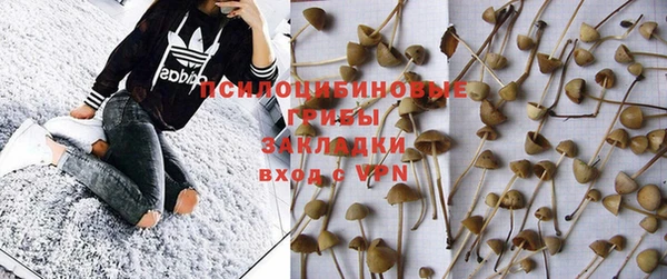 винт Нягань