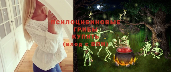 герыч Няндома