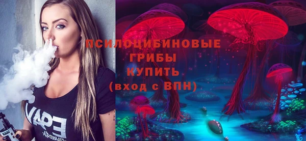 винт Нягань