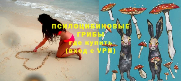 винт Нягань